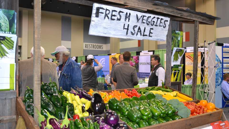 Produce Marketing Perspective for Growers: Wholesale vs. Retail
