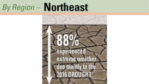 The 2016 Drought Is Having a Big Impact on Northeast Growers