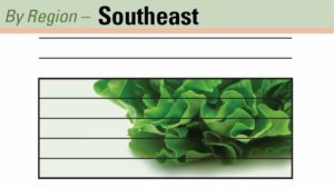 One in Five Southeast Growers Use H-2A