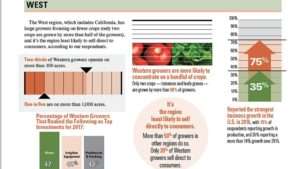 The West Had the Highest Increase in U.S. Vegetable Production in 2016