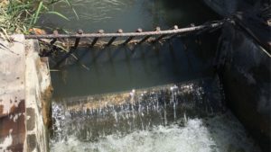 Government Agencies Make Waves With New Definition for WOTUS