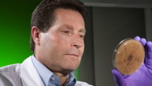 $35M Invested in Specialty Crop Research