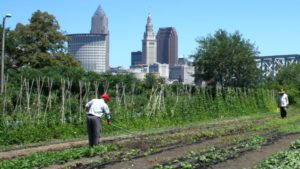 Where Do Vegetable Growers Find Labor?