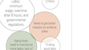 What Worries Vegetable Growers, in their own Words