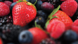 Growers Say it’s the Best of Times or the Worst of Times for Berry Industry