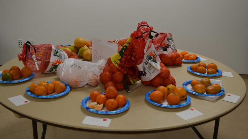 Fresh Fruit