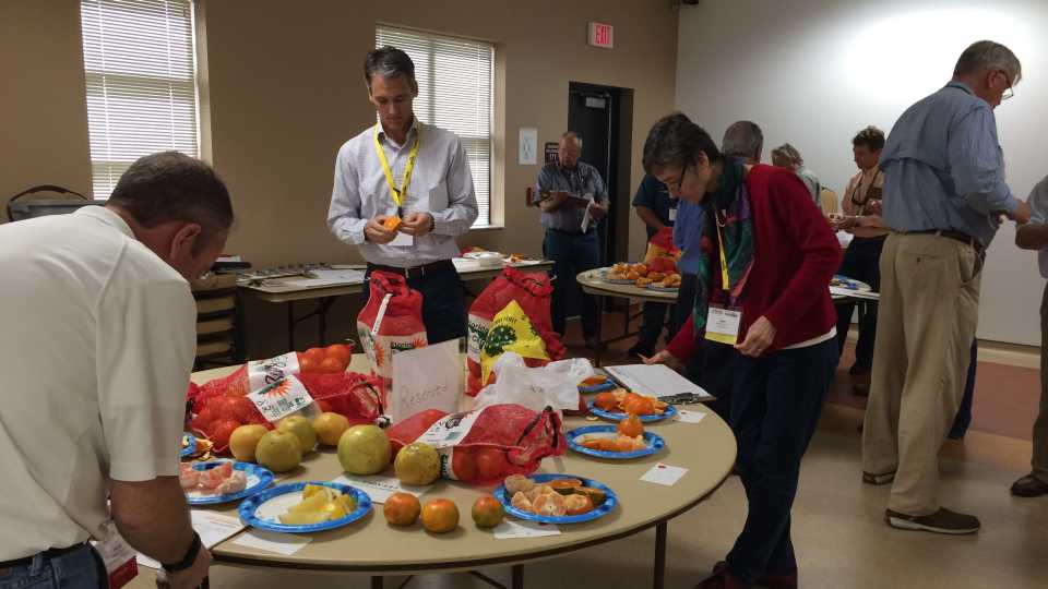 Ways You Can Make a Difference at Citrus Variety Display Events