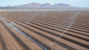 Appreciate Agriculture: The Other Side of California