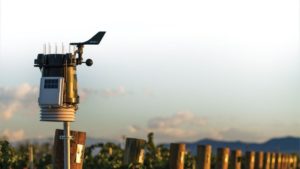 Is the Intelligent Vineyard the Future of Winegrape Growing?