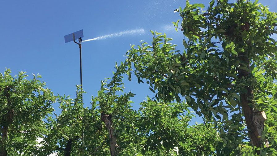 Crop Advisers Should Help  Growers with Onerous Ag-Water Mandates