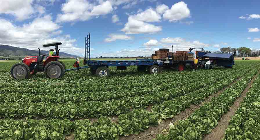 MF4610M HC from Massey Ferguson/AGCO