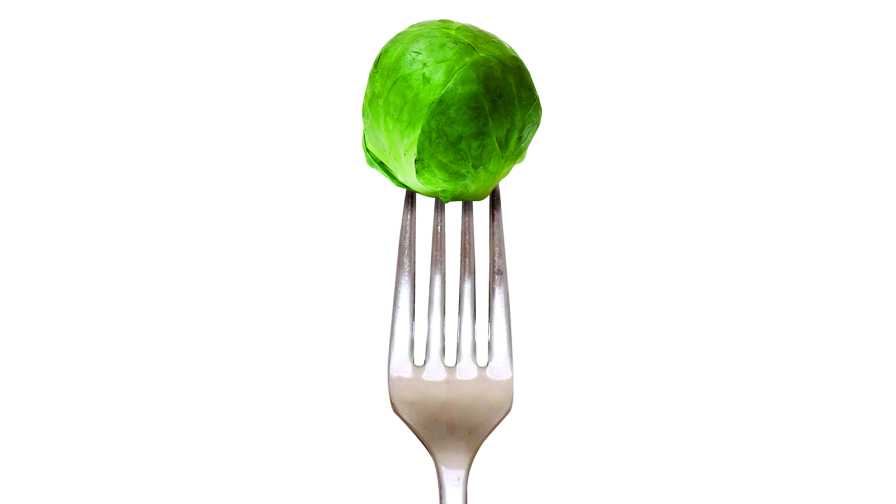 Food Trends Driving Growth Opportunities for Florida Farmers