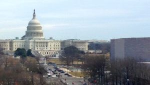 Key Cabinet Picks Likely Good News for Growers