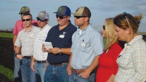 What to Ask When Seeking Your First Job in Agriculture