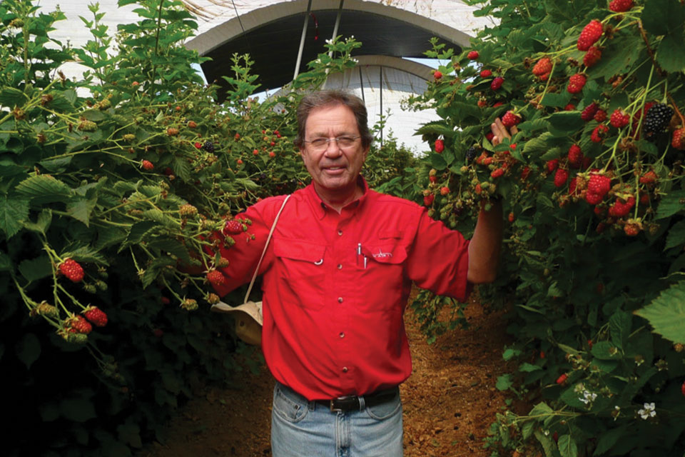 Columnist Wins Prestigious Plant Breeder Award