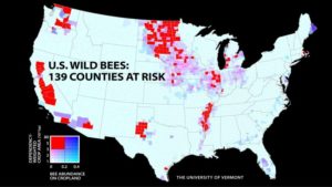 Wild Bee Populations Are out of Sync with Crop Needs