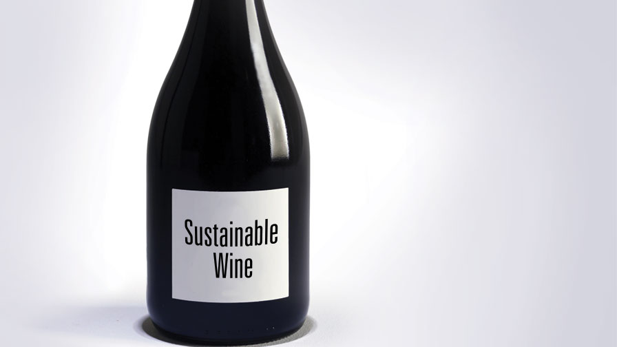 Winegrowers See Total Sustainability in Their Sights