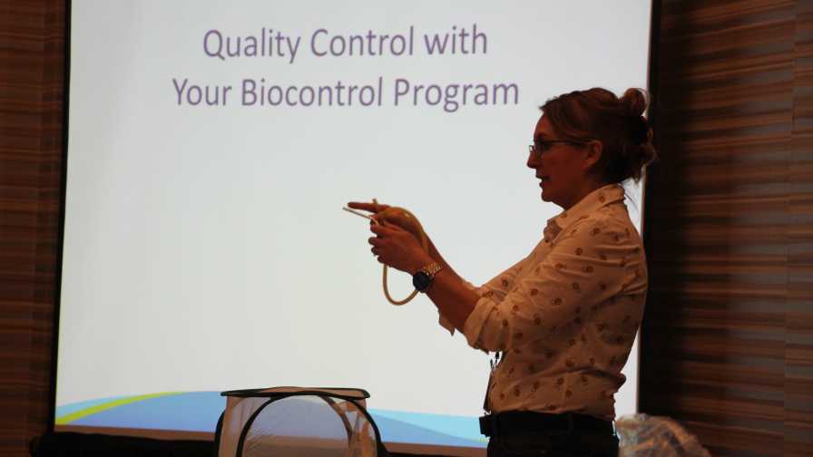 More Growers Willing to Bet on Biocontrols