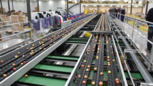 Washington Apple Growers Caught in Costly Trade Spat with Mexico