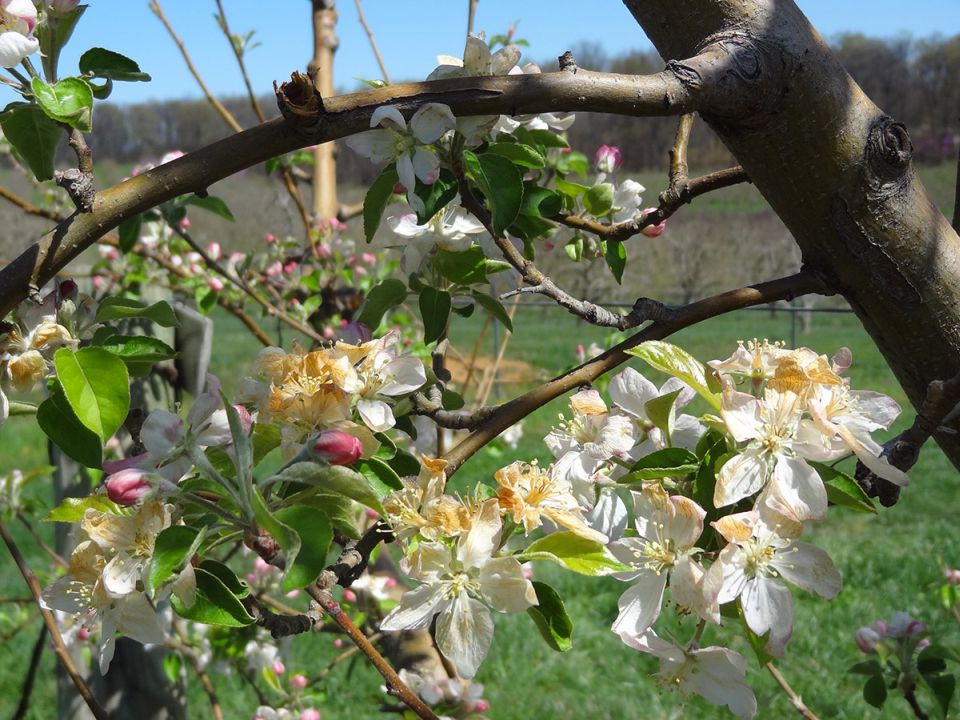 What a Decline in Empathy Means to Your Farm