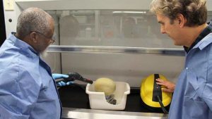 How Steam Helps Remove Pathogens on Cantaloupes