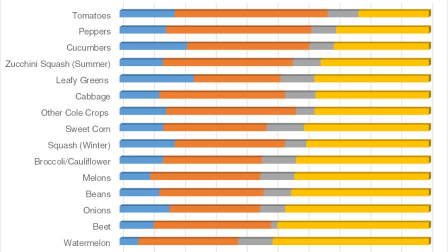 Which Vegetable Crops Are the Most Popular?