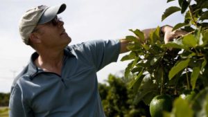 Produce Safety Inspections Are Heading to Your Farm
