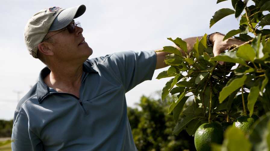 Produce Safety Inspections Are Heading to Your Farm