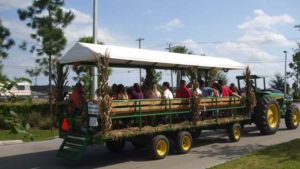 Here Are Some New Ideas To Help Agritourism Grow