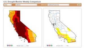 How California’s No-Drought Status Affects Growers
