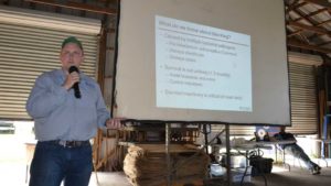 Dickeya Down-Low