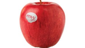 ‘Envy’ Top Variety in USApple Tournament