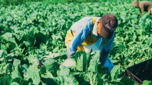 Take the Stress out of  Food Safety Inspections