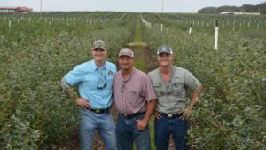Florida Farming Family Staying on Top of the Blueberry Game