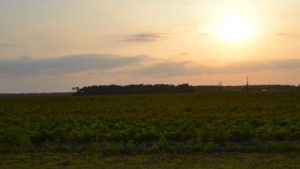 Will 2025 Be Another Record-Warm Year? Chances Are …