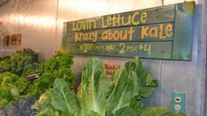 Who Holds the Pricing Power for the Vegetable Market?