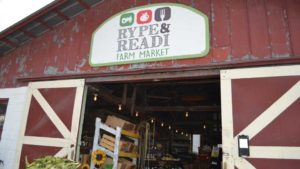 Farm to Table
