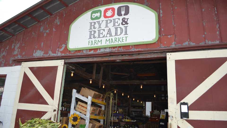 Farm to Table