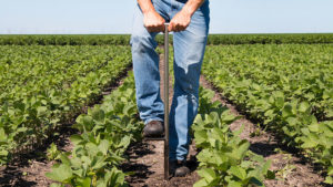 Secrets To Acing the Soil Health Test