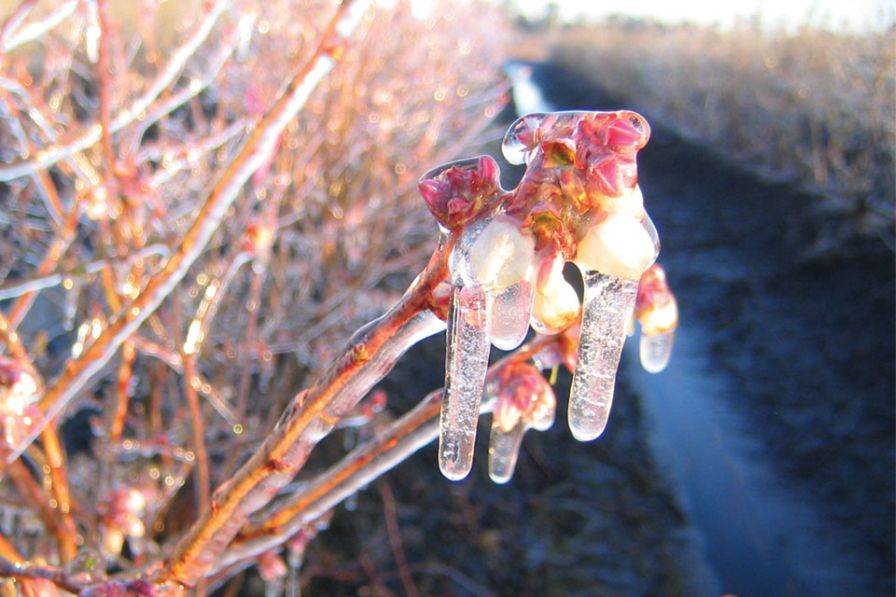 Thaw Coming? What Ag Programs Will See Funding Freeze Relief
