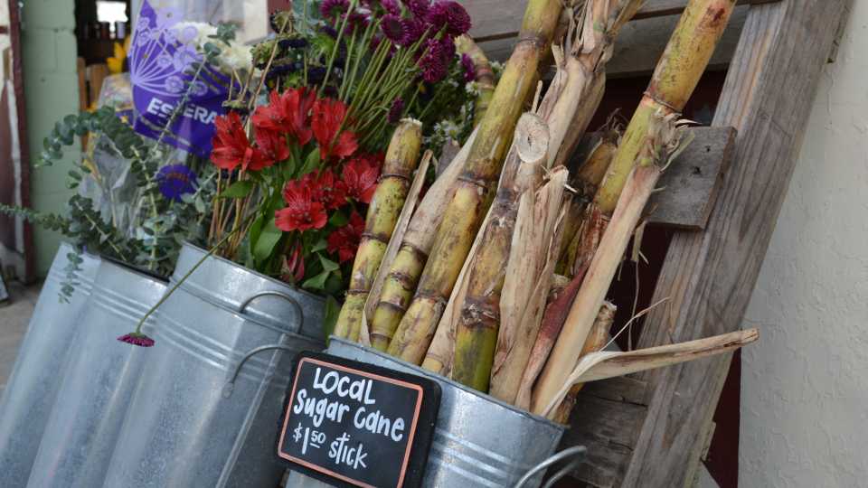 Buy Local, Eat Local