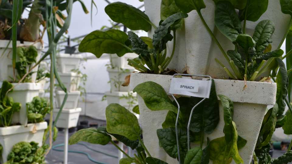 Tech Boom in Ag a Big Step Toward Possible Net-Zero Economy