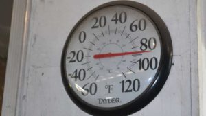 Heat Tolerant