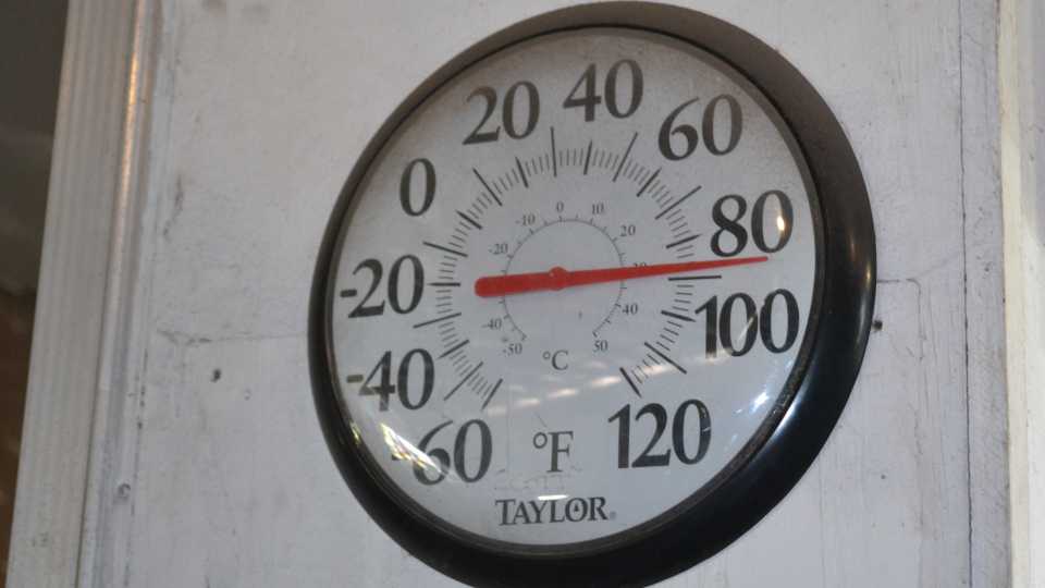 Heat Tolerant