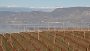 New Tool For Farmland Seekers