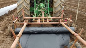 Exploring Biodegradable Plastic Mulches in Red Raspberry