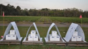 EPA Approves First Ever Fungicide Applied by Bees