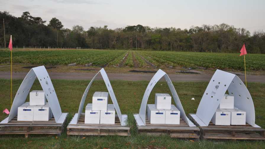 Bee Vectoring Technologies and Biosafe Systems Team Up To Grow Business