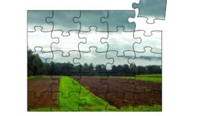 Insights on What You Need To Figure Out the Biological Crop Protection Puzzle