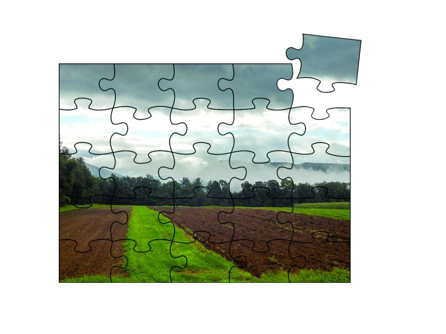 Insights on What You Need To Figure Out the Biological Crop Protection Puzzle